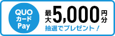 期間中、CIVICをご購入し、Honda Total Careプレミアム基本パック、指定のオプションパックにご加入いただいたお客様の中から抽選でQUOカードPay最大5,000円分プレゼント！